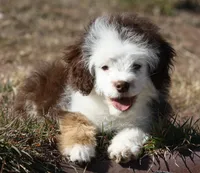 processed/8f6af98d-038c-4085-b36f-c3480b71c991/listing/9192f477-c023-43ff-a625-6e80d8bee60c/79572877-f257-49dc-ab76-c21d2e644e6e