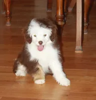 processed/8f6af98d-038c-4085-b36f-c3480b71c991/listing/9192f477-c023-43ff-a625-6e80d8bee60c/b4c519de-0537-41c2-859c-89fc3870a1f6