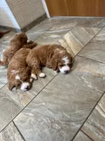 Facility photo