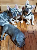 processed/8f755f28-05bb-4930-a3d9-37c4c5b50762/facility/03da5c24-ef8e-4d62-bc63-9be6359443f7