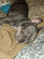 processed/8f755f28-05bb-4930-a3d9-37c4c5b50762/facility/5d5deb61-909d-48b0-a694-0e7e3ba96017