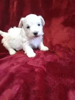 processed/8f7b3ea5-e83e-47fb-9c78-2c63919e19ed/listing/78650085-f519-425f-85f5-f9d889d39a01/933d7f27-7307-4032-a6dd-5f3c07b2ae08