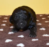 processed/8f84cdff-a39a-42c2-8421-21bf92fc01d8/listing/c3538160-d5c0-413d-8c8c-6246c49caf53/02d10a63-9616-4fbf-b75e-1199d111a32b