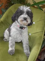 processed/8f84cdff-a39a-42c2-8421-21bf92fc01d8/listing/c3538160-d5c0-413d-8c8c-6246c49caf53/2c85e194-c8ea-419f-8037-161fb3ebfabd