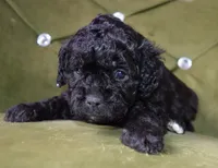 processed/8f84cdff-a39a-42c2-8421-21bf92fc01d8/listing/c3538160-d5c0-413d-8c8c-6246c49caf53/54f2f073-c644-4708-991b-34c909cac435