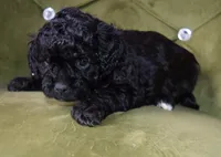 processed/8f84cdff-a39a-42c2-8421-21bf92fc01d8/listing/c3538160-d5c0-413d-8c8c-6246c49caf53/8c9eada4-333e-49ab-85fc-54f7f502fcca