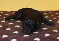 processed/8f84cdff-a39a-42c2-8421-21bf92fc01d8/listing/c3538160-d5c0-413d-8c8c-6246c49caf53/901c4aae-f0bc-4a42-952c-65927d796ef3