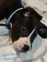 processed/8f934b65-f17d-4300-ad95-8c7bbfc0f644/listing/399bb543-a082-4704-9b68-59f780bc8912/0966bc59-7bb8-43cf-b67f-66b3fdac31f6