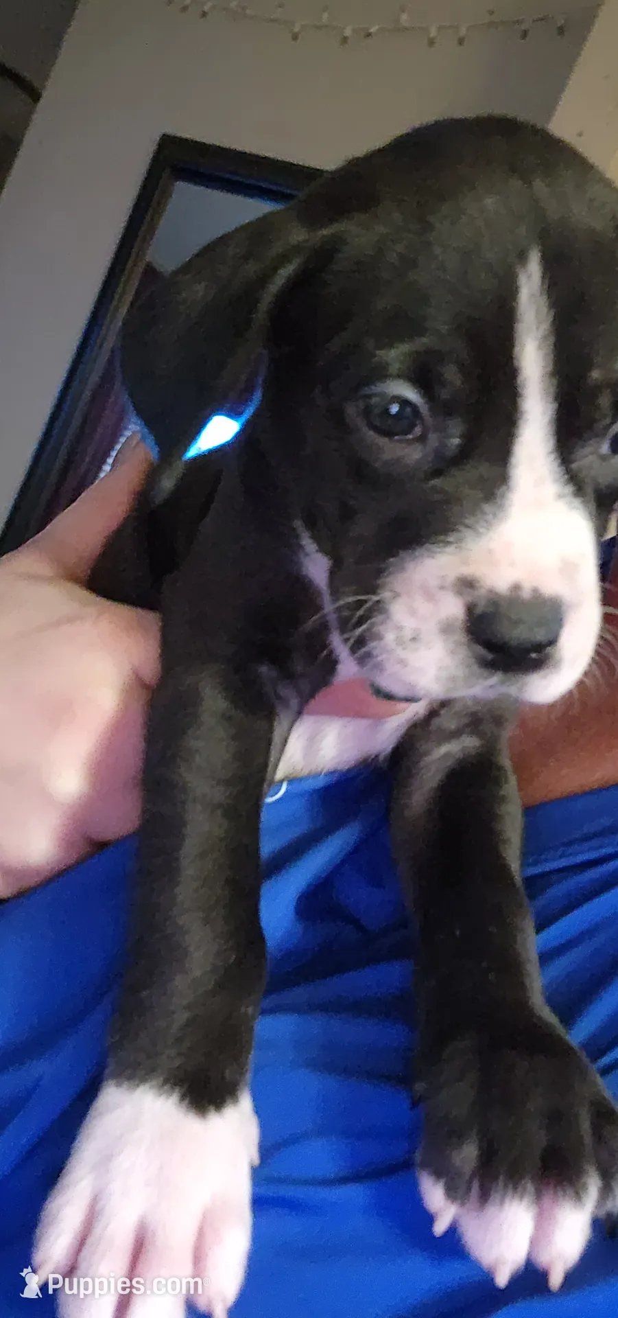 processed/8f934b65-f17d-4300-ad95-8c7bbfc0f644/listing/399bb543-a082-4704-9b68-59f780bc8912/97d4ba4e-34ea-4166-b933-a4dff85f8615