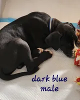 processed/8f934b65-f17d-4300-ad95-8c7bbfc0f644/listing/4e5b86f6-71d3-47d1-9133-70bf500a0f33/4c752eb0-b081-4cb1-b3e3-b2fcf5d7824c