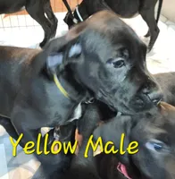 processed/8f934b65-f17d-4300-ad95-8c7bbfc0f644/listing/897367a1-95fe-4be7-9cc0-9d652d015647/49330b22-b547-4fe3-b097-695911542e0d