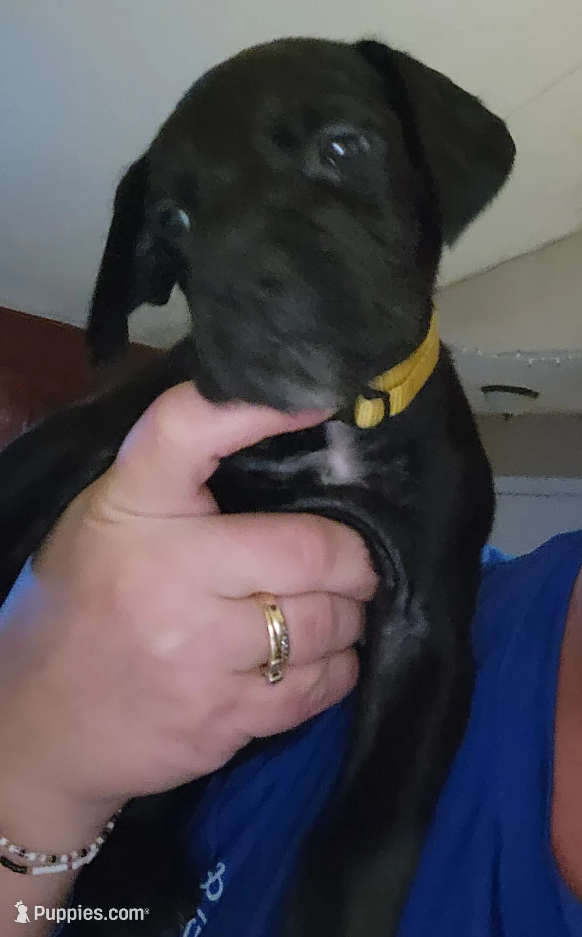 processed/8f934b65-f17d-4300-ad95-8c7bbfc0f644/listing/897367a1-95fe-4be7-9cc0-9d652d015647/6c21f2b8-88ec-49c2-912b-d3c98b092ddb