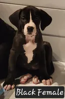 processed/8f934b65-f17d-4300-ad95-8c7bbfc0f644/listing/c454d38a-167e-4d5e-8e5e-83908ba2dac7/2e2915c9-5e7c-4437-ae49-018393d378b1