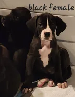 processed/8f934b65-f17d-4300-ad95-8c7bbfc0f644/listing/c454d38a-167e-4d5e-8e5e-83908ba2dac7/85500666-b734-4110-a887-a72b803eabf8