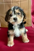 processed/8f94ab9f-9800-4f34-a4a1-be9323ba2a3d/listing/0732870b-ea9d-4945-9aab-364d0b9fcb5d/4a500023-1f79-4542-a799-c9df5aa61c17