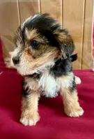 processed/8f94ab9f-9800-4f34-a4a1-be9323ba2a3d/listing/0732870b-ea9d-4945-9aab-364d0b9fcb5d/54bf44ad-e410-483d-b74d-612f2215a174