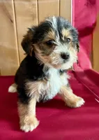 processed/8f94ab9f-9800-4f34-a4a1-be9323ba2a3d/listing/0732870b-ea9d-4945-9aab-364d0b9fcb5d/6d91b212-492f-47a8-9d77-70a82d7662d5