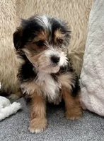 processed/8f94ab9f-9800-4f34-a4a1-be9323ba2a3d/listing/0732870b-ea9d-4945-9aab-364d0b9fcb5d/c7c51b04-9770-4de7-a070-c109442f41e4