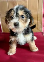 processed/8f94ab9f-9800-4f34-a4a1-be9323ba2a3d/listing/0732870b-ea9d-4945-9aab-364d0b9fcb5d/f0ac4360-498d-404f-8646-0792761c1b34