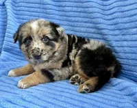 processed/8f94ab9f-9800-4f34-a4a1-be9323ba2a3d/listing/9fb324c4-1530-4387-9291-dc313064d2f3/2ddc73eb-159e-46e3-84e2-74e88c4e3584