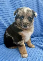 processed/8f94ab9f-9800-4f34-a4a1-be9323ba2a3d/listing/9fb324c4-1530-4387-9291-dc313064d2f3/58d694e4-210b-48be-8955-9eadd110c091