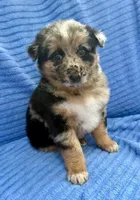 processed/8f94ab9f-9800-4f34-a4a1-be9323ba2a3d/listing/9fb324c4-1530-4387-9291-dc313064d2f3/5a8d9d4f-84fc-4a59-a357-d40af47984f3