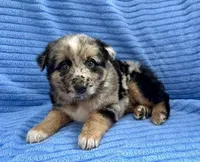 processed/8f94ab9f-9800-4f34-a4a1-be9323ba2a3d/listing/9fb324c4-1530-4387-9291-dc313064d2f3/86d984fb-3b7e-4993-a625-72828b6c6347