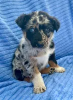 processed/8f94ab9f-9800-4f34-a4a1-be9323ba2a3d/listing/ab288e69-ead0-434c-9e32-e9bc395ac4b3/0813616c-f1d7-4488-be6c-4eea62782cb2