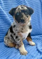 processed/8f94ab9f-9800-4f34-a4a1-be9323ba2a3d/listing/ab288e69-ead0-434c-9e32-e9bc395ac4b3/37e1639c-45d3-47ff-86b4-f3e07d9387ca