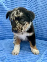 processed/8f94ab9f-9800-4f34-a4a1-be9323ba2a3d/listing/ab288e69-ead0-434c-9e32-e9bc395ac4b3/6d9abbb3-635f-40c7-ba0f-473ea8ff937e