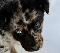 processed/8f94ab9f-9800-4f34-a4a1-be9323ba2a3d/listing/ab288e69-ead0-434c-9e32-e9bc395ac4b3/803fe32e-43a3-4f2a-8d2f-b3246a4fc72e