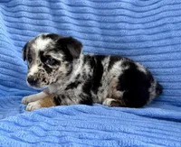 processed/8f94ab9f-9800-4f34-a4a1-be9323ba2a3d/listing/c4e615c5-68dc-40bd-a4cc-0070a9c05683/7b82b4cc-02f9-403a-930a-c54a8881e821