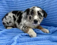 processed/8f94ab9f-9800-4f34-a4a1-be9323ba2a3d/listing/c4e615c5-68dc-40bd-a4cc-0070a9c05683/cd61a9d0-ed70-466e-ada0-375ca1f87e5f