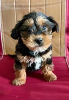 processed/8f94ab9f-9800-4f34-a4a1-be9323ba2a3d/listing/e7ed3b97-3184-4a80-a19b-e10dc6ce96fa/cf21e3a1-3c3f-4bfc-bb65-0319534459ee