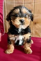 processed/8f94ab9f-9800-4f34-a4a1-be9323ba2a3d/listing/e7ed3b97-3184-4a80-a19b-e10dc6ce96fa/e2c0270f-8cb5-4c11-b2d3-656798dbf735