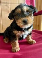 processed/8f94ab9f-9800-4f34-a4a1-be9323ba2a3d/listing/e7ed3b97-3184-4a80-a19b-e10dc6ce96fa/e457dbdf-089c-40f1-9ad4-59cf09353fb0