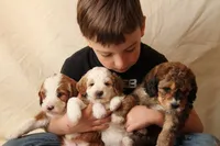 processed/8f986d7c-79fc-4b86-8a1b-51cfc7237e5a/facility/11860048-c262-4d5c-a8c3-3cf672561a19