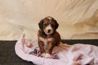 processed/8f986d7c-79fc-4b86-8a1b-51cfc7237e5a/facility/97ddeb2f-ec5a-42c9-904e-df8e5e574c08