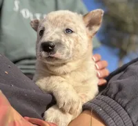 processed/8f98b6f6-1fb4-4761-93bd-1e4f8519b073/listing/07422267-f4c9-4fbc-ae78-6b888fb636f2/206c89dd-5369-4443-802a-b97f45fac7db