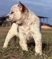 processed/8f98b6f6-1fb4-4761-93bd-1e4f8519b073/listing/07422267-f4c9-4fbc-ae78-6b888fb636f2/741ee28b-8da2-4469-bb74-14fcadbb4749