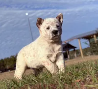 processed/8f98b6f6-1fb4-4761-93bd-1e4f8519b073/listing/07422267-f4c9-4fbc-ae78-6b888fb636f2/74b75ede-d13c-4c03-86ea-905ec7149535