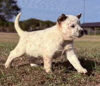 processed/8f98b6f6-1fb4-4761-93bd-1e4f8519b073/listing/07422267-f4c9-4fbc-ae78-6b888fb636f2/83955b45-1c98-4354-a7ac-474740626eb9