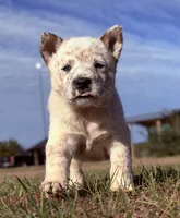 processed/8f98b6f6-1fb4-4761-93bd-1e4f8519b073/listing/07422267-f4c9-4fbc-ae78-6b888fb636f2/e5c69328-4c1b-4095-91f0-0e1ce0156eaa