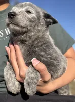 processed/8f98b6f6-1fb4-4761-93bd-1e4f8519b073/listing/b851f7a1-c93f-43ab-9782-3eb294c087ab/46dc5f2d-7067-41b4-b2c7-6425edde2a74