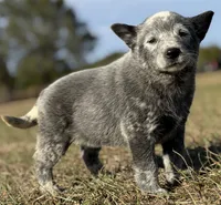 processed/8f98b6f6-1fb4-4761-93bd-1e4f8519b073/listing/b851f7a1-c93f-43ab-9782-3eb294c087ab/6c6359a6-363b-47dd-af5b-040006e8cea0