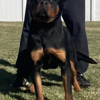 processed/8fa1483c-bd97-4741-a6da-55a94b14c08a/facility/1f2f38b9-b81f-42d8-991e-3ce19522398a