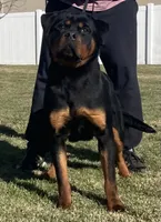 processed/8fa1483c-bd97-4741-a6da-55a94b14c08a/facility/1f2f38b9-b81f-42d8-991e-3ce19522398a