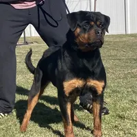 processed/8fa1483c-bd97-4741-a6da-55a94b14c08a/facility/204b20af-cd5d-429a-b760-f9113482849b