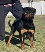 processed/8fa1483c-bd97-4741-a6da-55a94b14c08a/facility/204b20af-cd5d-429a-b760-f9113482849b