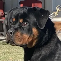 processed/8fa1483c-bd97-4741-a6da-55a94b14c08a/facility/45c8ccf1-c8c5-4613-a039-9c0719d066de